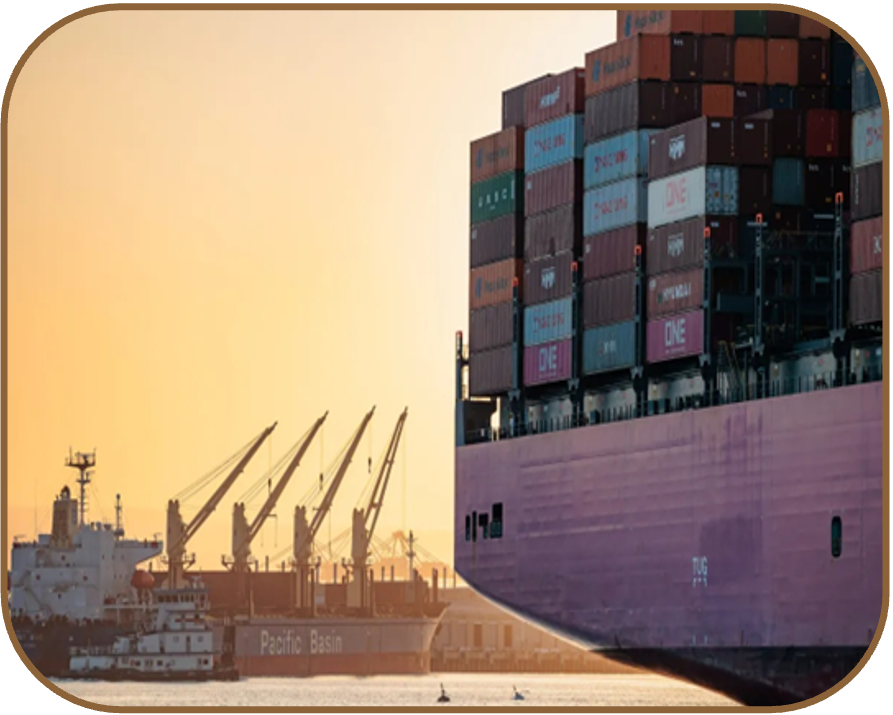 What we do ocean shipping